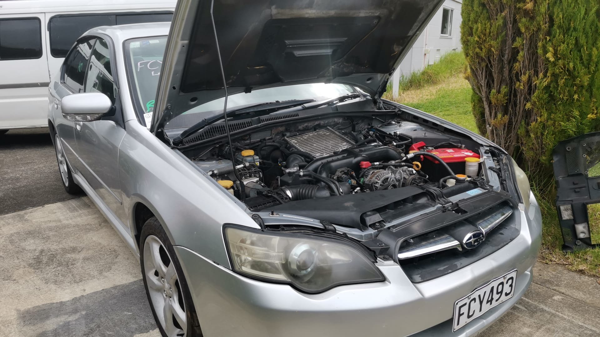 WhatsApp Image 2025-12-17 at 17.19.03.jpeg